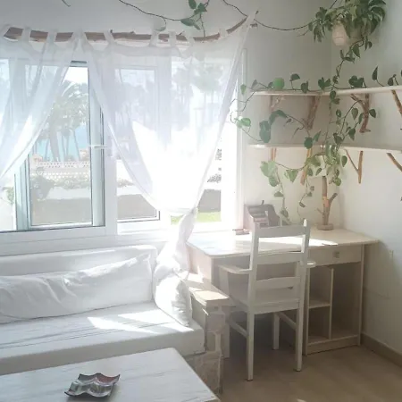Casa Flora * Коста Калма